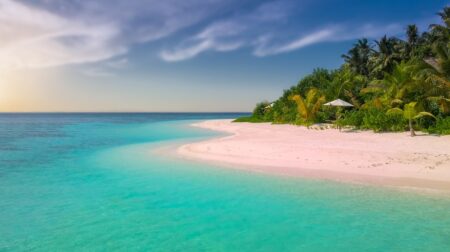 beach, paradise, island, palm trees, ocean, romantic, sunset, seascape, sea, summer, bathing, nature, holiday, sandy beach, vacations